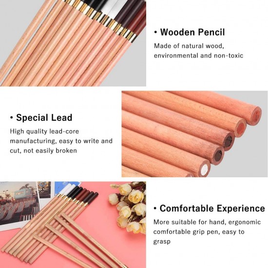 مجموعة أدوات الرسم بالفحم 2 ابيض 2 بني داكن 2 سيبا 6 أسود الوان الترابية طقم 12 قطعة